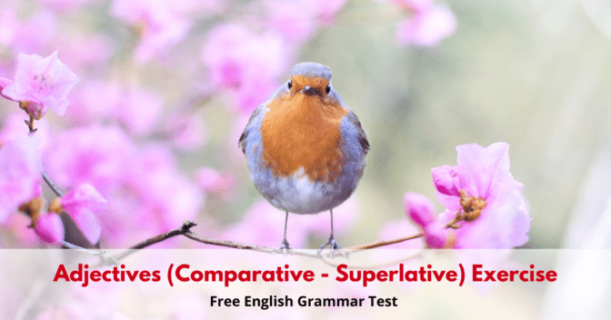 Adjectives (Comparative – Superlative) Exercise