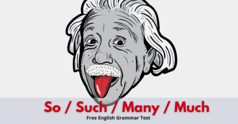 So-Such-Many-Much--free-english-test-online