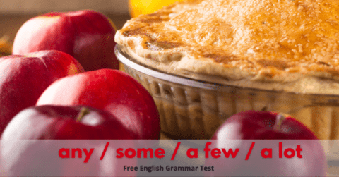 any-some-a-few-a-lot-uncountable-countable-nouns-english-test-online