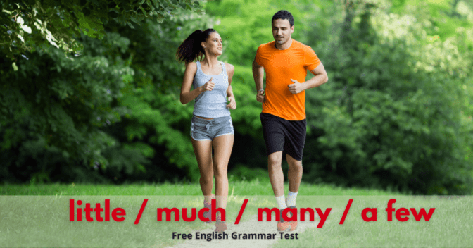 Little, much, many, a few – Countable / Uncountable Nouns
