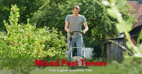 mixed-past-tenses-english-grammar-exercise