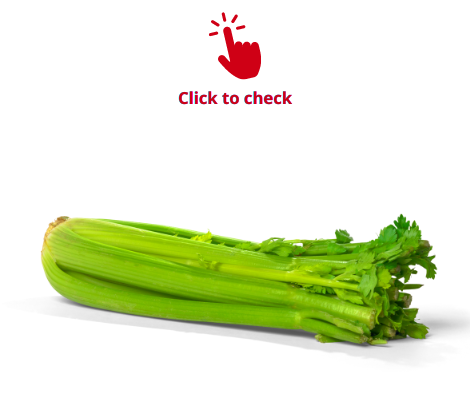 celery-vocabulary-exercise