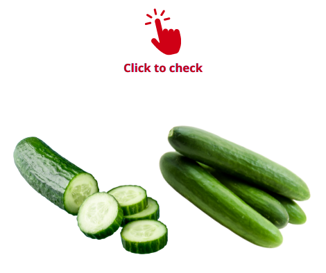 cucumber-cucumbers-vocabulary-exercise