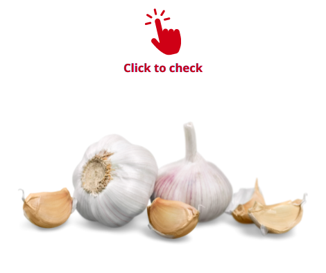 garlic-vocabulary-exercise
