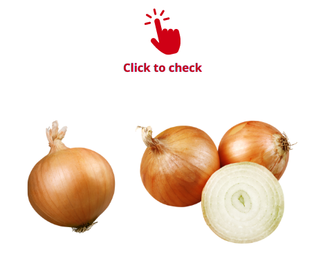 onion-onions-vocabulary-exercise