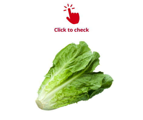 romaine-lettuce-vocabulary-exercise