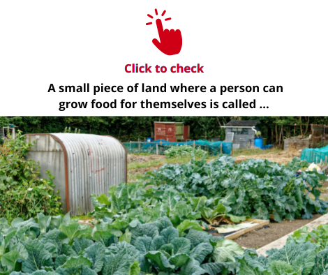 allotment-vocabulary-exercise