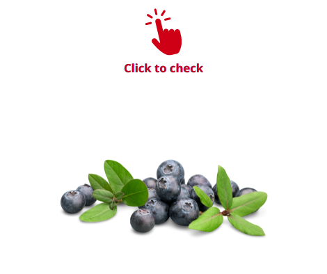 blueberries-vocabulary-exercise