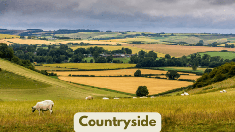 countryside-learn-vocabulary-exercise