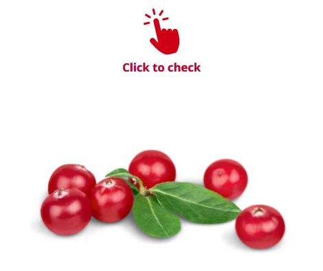 cranberries-vocabulary-exercise