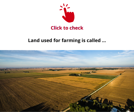 farmland-vocabulary-exercise