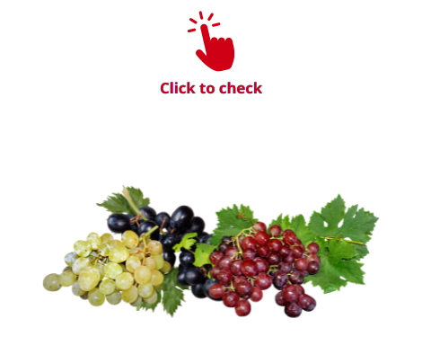grapes-vocabulary-exercise