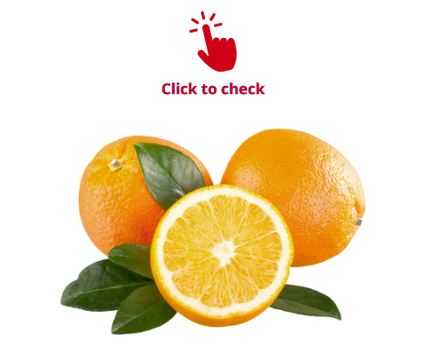oranges-vocabulary-exercise