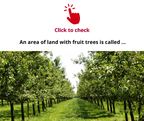 orchard-vocabulary-exercise