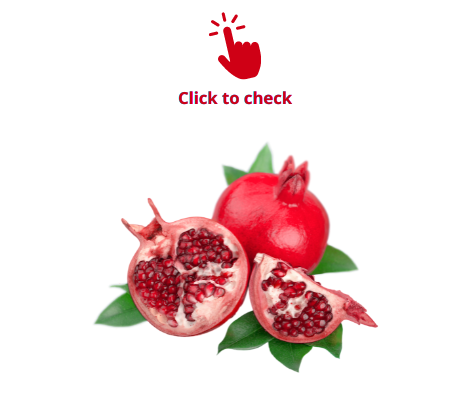 pomegranate-vocabulary-exercise