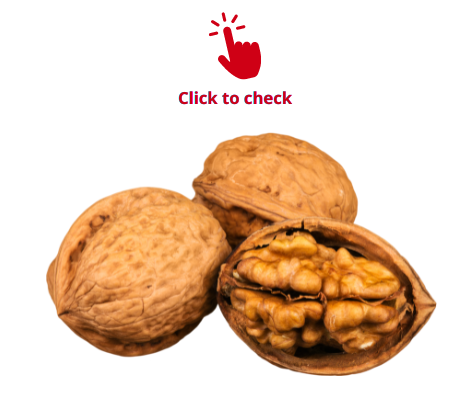 walnuts-vocabulary-exercise