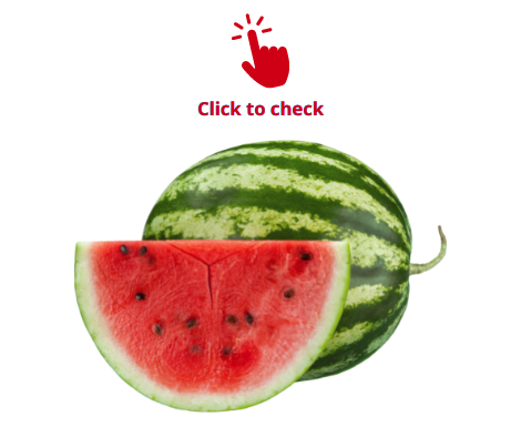 watermelon-vocabulary-exercise