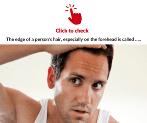 hairline-vocabulary-exercise